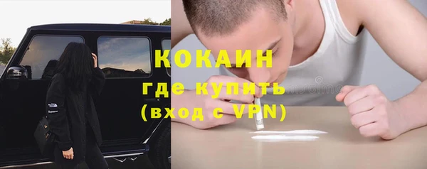 прущая мука Гусев