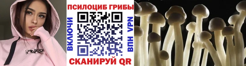 Галлюциногенные грибы мухоморы  Малоархангельск 